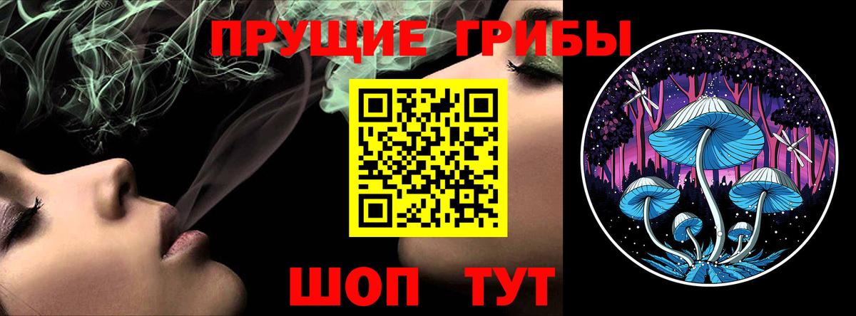 Псилоцибиновые грибы ЛСД  Вход с VPN  Курчалой 